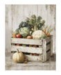 Papel Seda A4 Granja 34 Caja Verduras 1