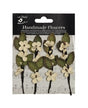 FLORES Little Birdie 4 pc Jane Cream 1