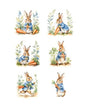 Papel Seda A4 Conejo con Zanahoria 13 1