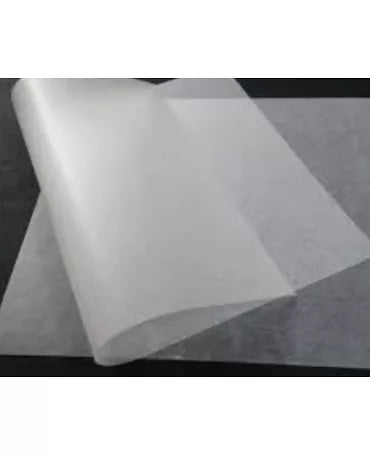 PAPELES ESPECIALES CEBOLLA 30x42 cm 1