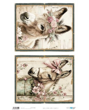 PAPEL ARROZ PFY Burros 1