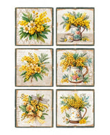 Transfer Rub On PFY 20x30 - 3 hojas Mimosas 2