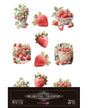 Transfer Rub On PFY 20x30 - 3 hojas Fresas 1