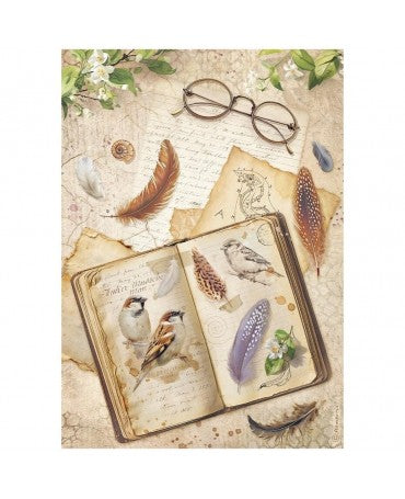Papel arroz Stamperia A4 All Around Book 1