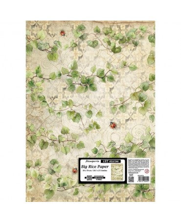 Papel arroz Stamperia 50x70 Art Stories All Around Hiedra 1