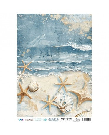 Papel Arroz SOFT A3 SPA6010 1