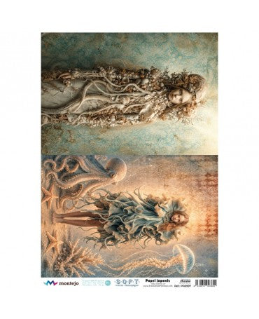 Papel Arroz SOFT A3 SPA5997 1