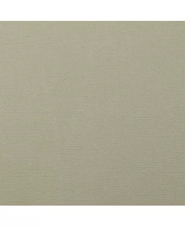 CARTULINA TEXTURE 30.5x30.5cm Mouse 1