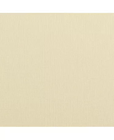 Cartulina texture 30,5x30,5cm Raffia 1