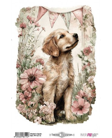 Transfer Multisuperficie PFY 20x30 Farm & Flowers Dogs 1