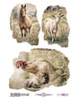 Transfer Multisuperficie PFY 20x30 Caballo, cabra y gallo 1