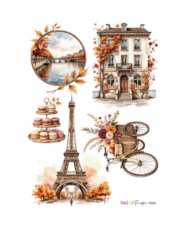Transfer Multisuperficie Montejo TRM085 1