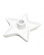 Resina Palmatoria Estrella 16cm 1