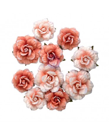 FLORES PRIMA Homegrown Flowers Blush Harvest (10pcs) 1