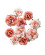 FLORES PRIMA Homegrown Flowers Blush Harvest (10pcs) 1