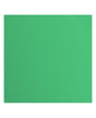 CARTULINA TEXTURE 30.5x30.5cm Emerald 1