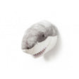 Cabeza tiburon jack wild&soft 1