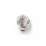 Cabeza tiburon jack wild&soft 2