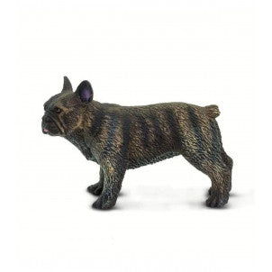 Bulldog frances safari 1
