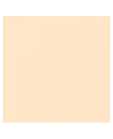Cartulina 65x50cm Naranja 1