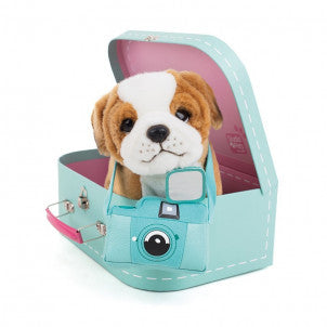 Peluche star 23cm studio pets 1