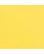 CARTULINA TEXTURE 30.5x30.5cm Lemon Yellow 1
