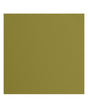 CARTULINA TEXTURE 30.5x30.5 Acacia 1