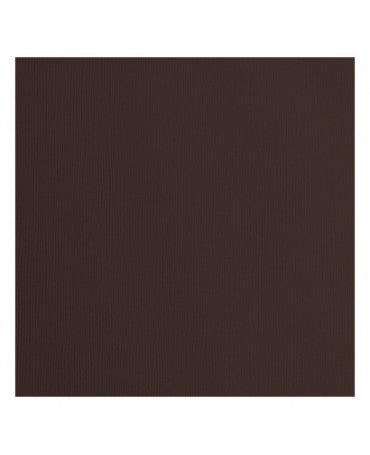 CARTULINA TEXTURE 30.5x30.5cm Bear 1