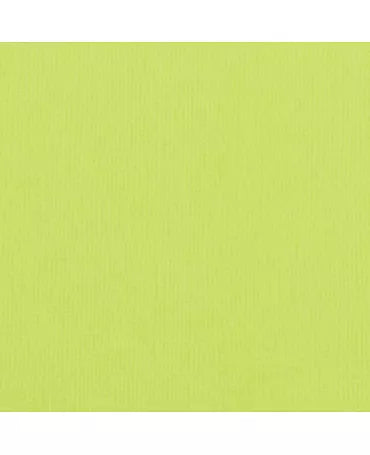 CARTULINA TEXTURE 30.5x30.5cm Pistachio 1