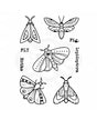 SELLO WOODWARE CLEAR SINGLES Moths 1