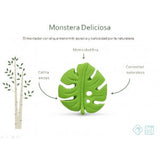 Mordedor monstera deliciosa lanco 2