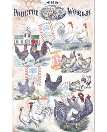PAPEL ARROZ PFY GALLINERO CLASSIC 1