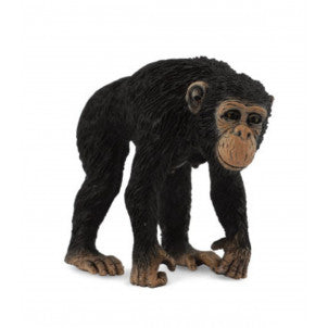 Chimpance hembra collecta 2