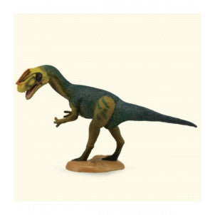 Proceratosaurus collecta 1