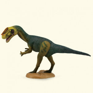 Proceratosaurus collecta 2