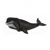 Ballena de groenlandia collecta 1