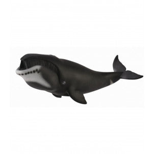 Ballena de groenlandia collecta 1