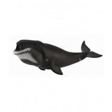 Ballena de groenlandia collecta 2