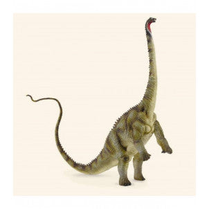Diplodocus collecta 1