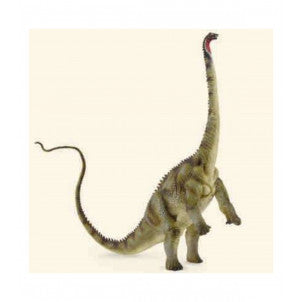 Diplodocus collecta 2