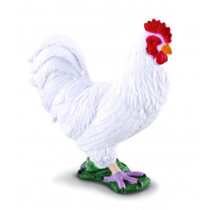 Gallina blanca collecta 1