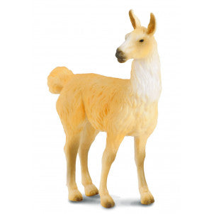 Llama collecta 1