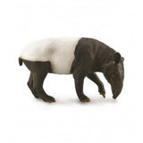 Tapir malayo collecta 1