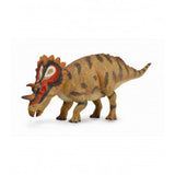Regaliceratops collecta 1