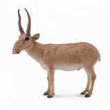 Antilope saiga collecta 2