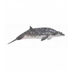 Ballena de pico de blainville collecta 1