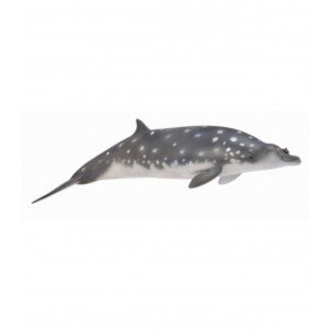 Ballena de pico de blainville collecta 2