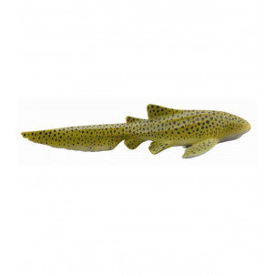 Tiburon cebra collecta 1