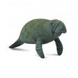Manati collecta 1