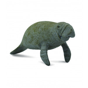 Manati collecta 1